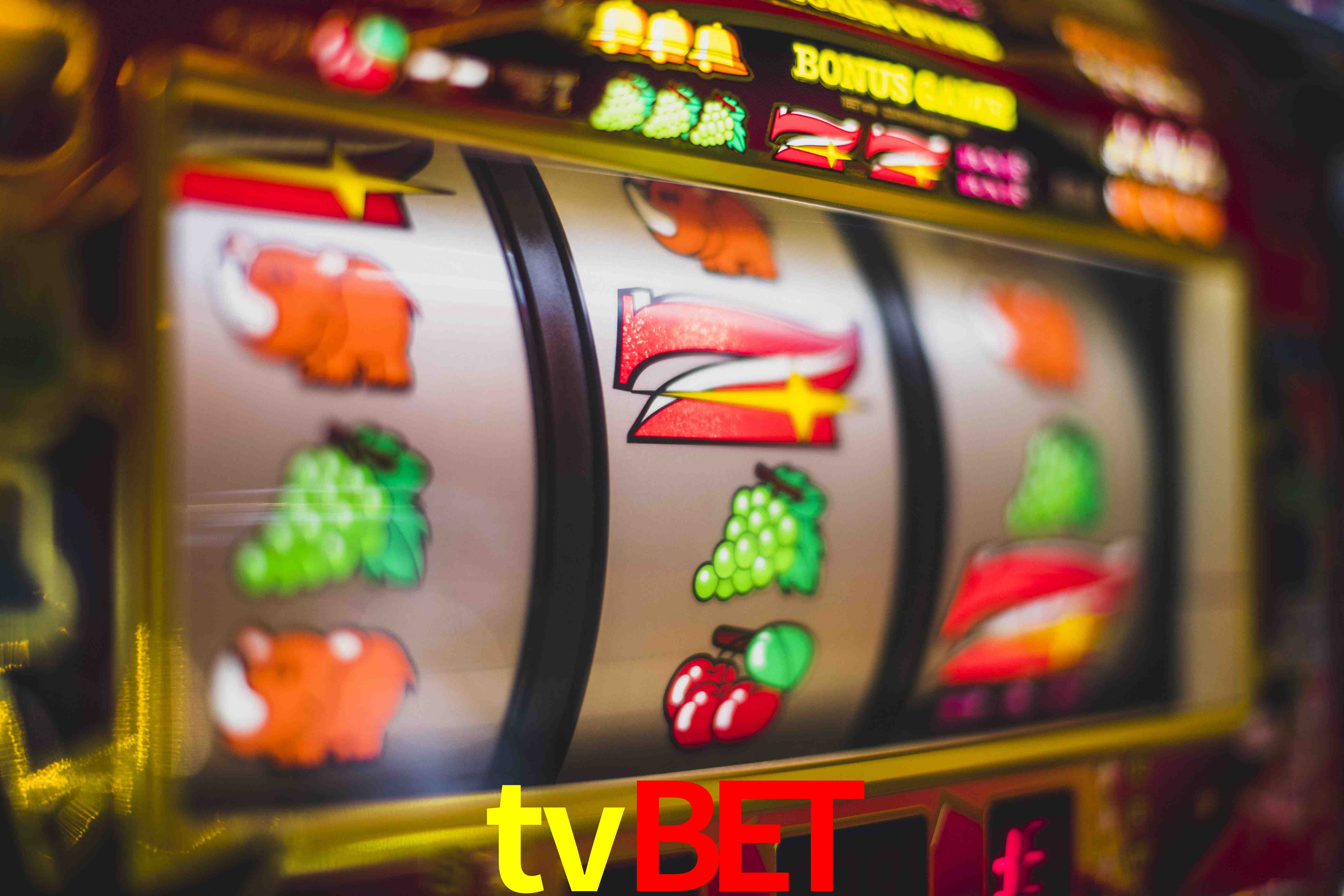 Crash Games Statistics tvbet